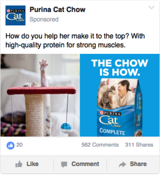 Chow is how facebook 1