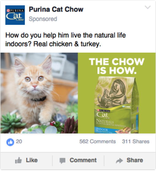 chow is how facebook 2
